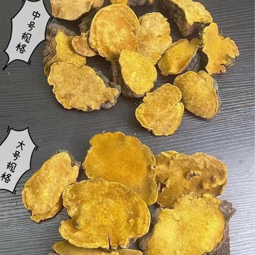 供应灵芝图厂家,品牌,图片,热帖